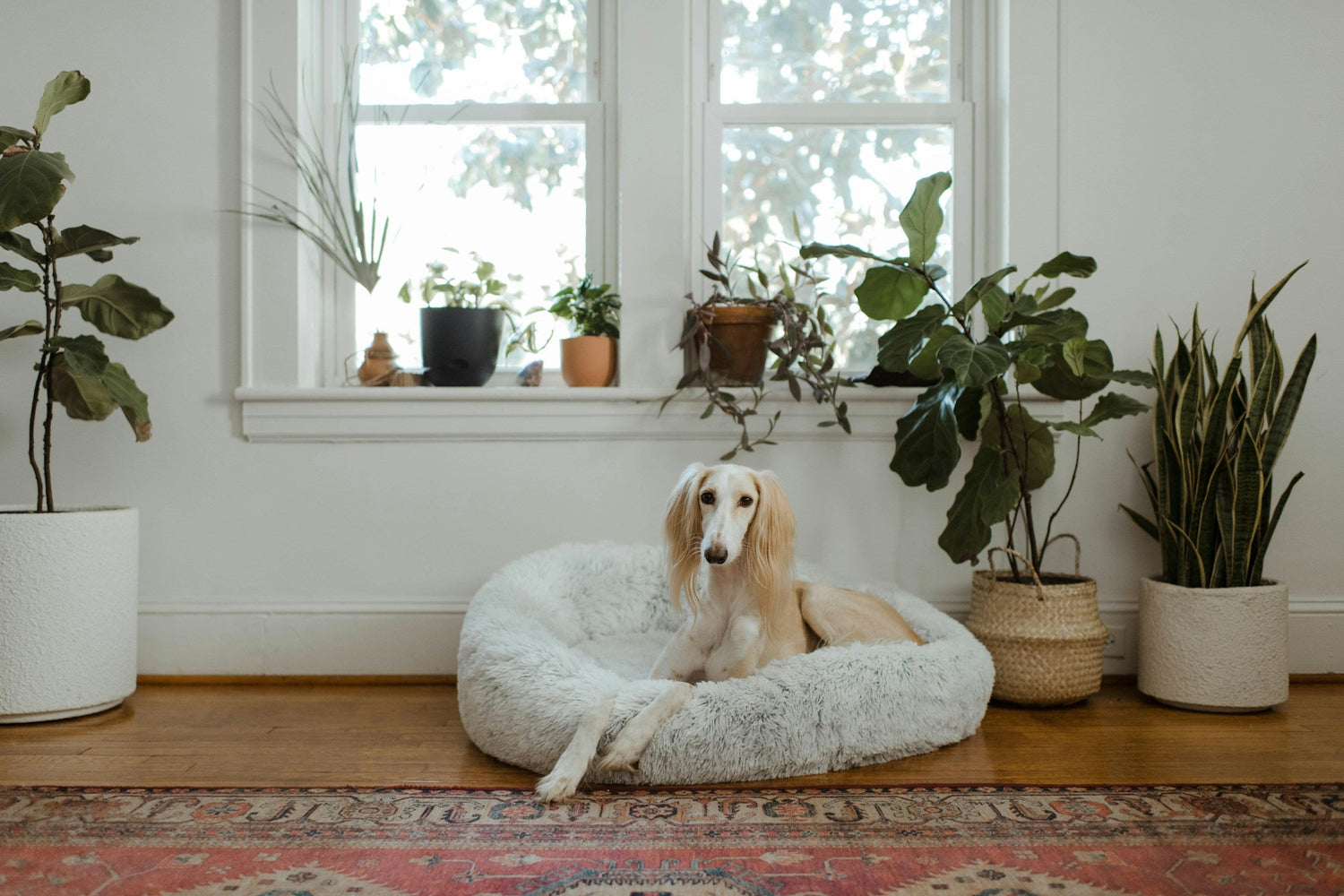 Home Decor and Interior Accents