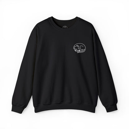Embroidered Unisex Crew Neck Sweatshirt (Black, Navy, Pink)